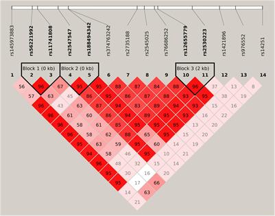The Vulnerability to Methamphetamine Dependence and Genetics: A Case-Control Study Focusing on Genetic Polymorphisms at Chromosomal Region 5q31.3